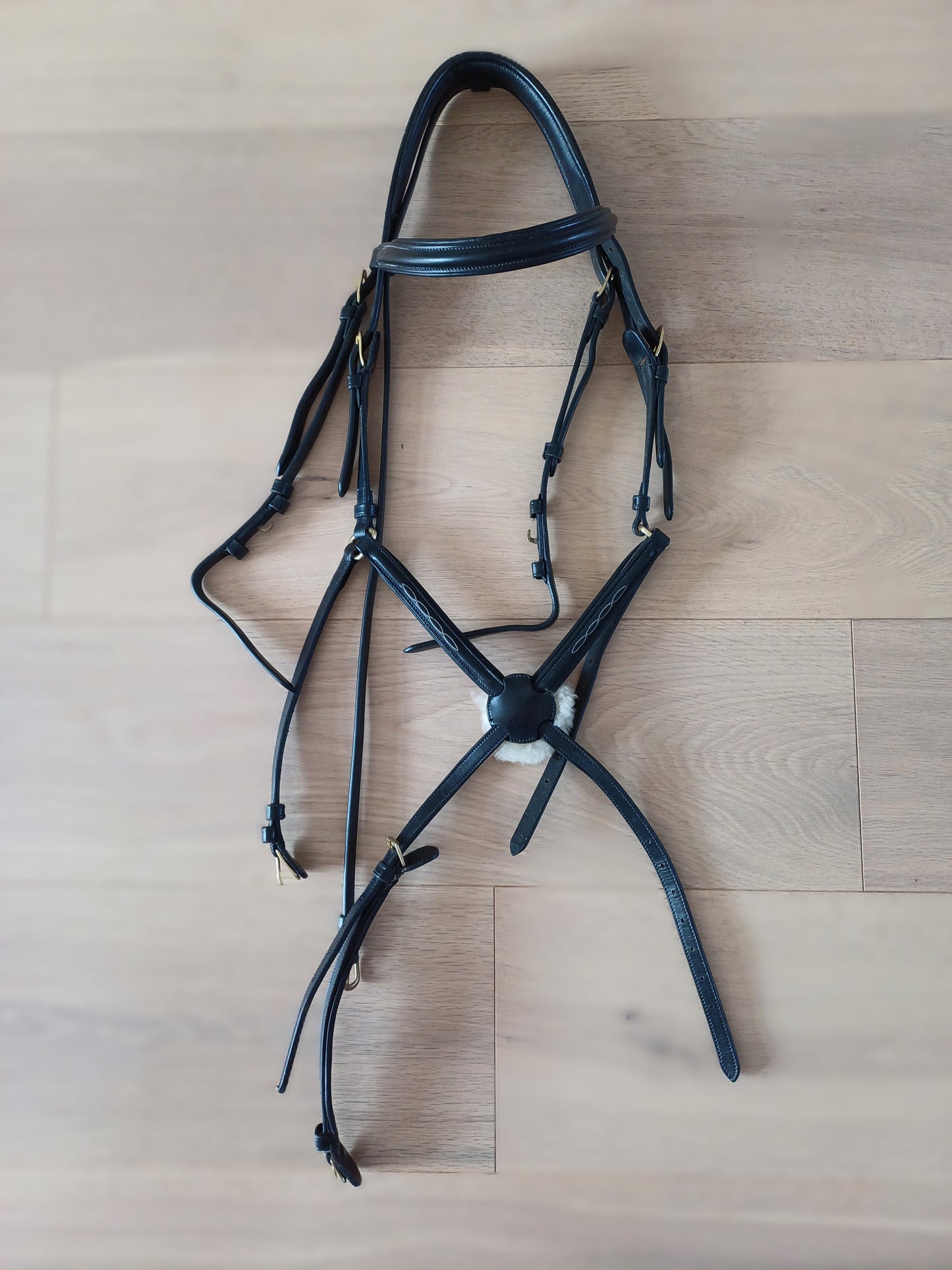 EppleJeck Cob Hoofdstel Zwart