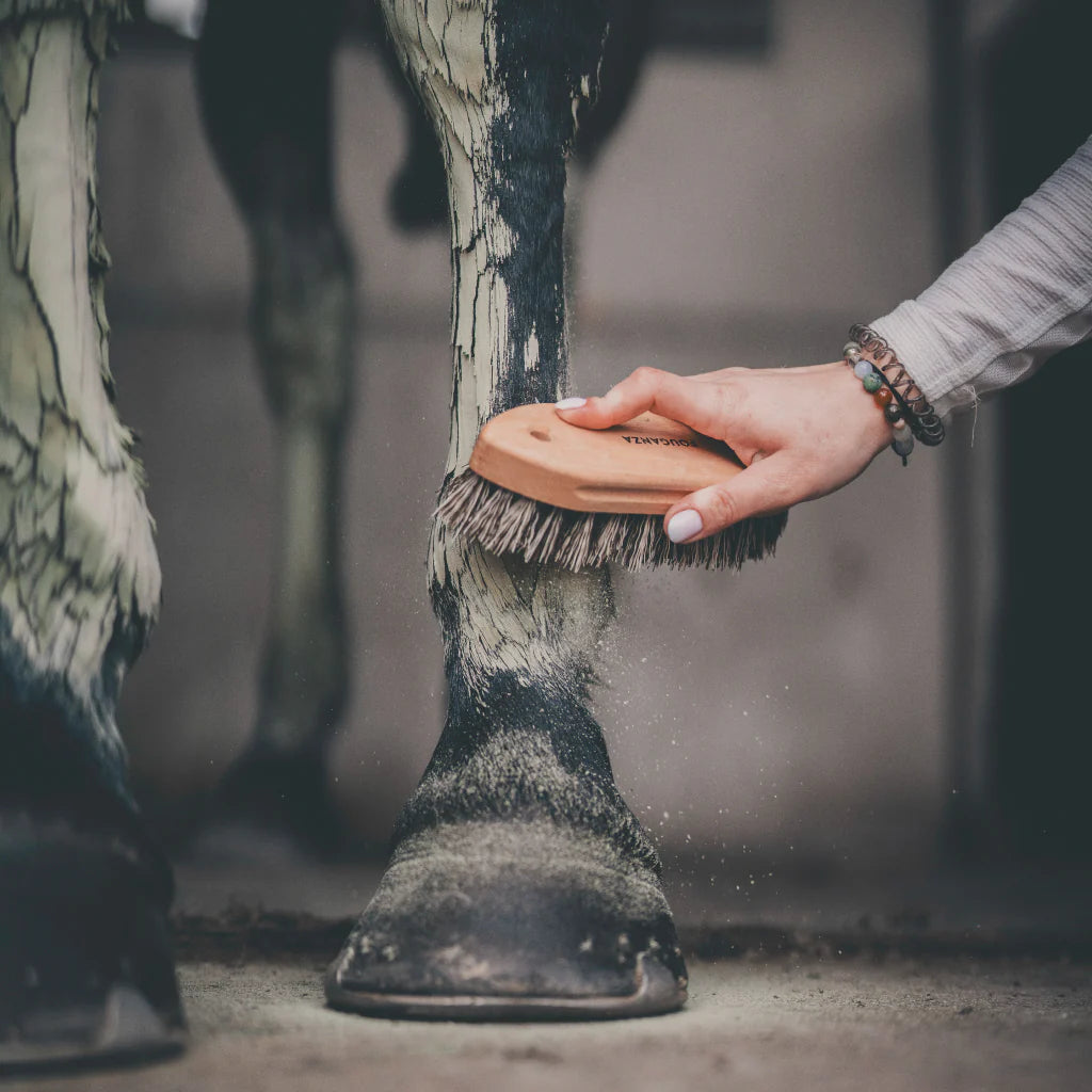 Argile Après Effort Cheval Cura Naturale – 1,75 kg (100% Naturelle, Application Externe)