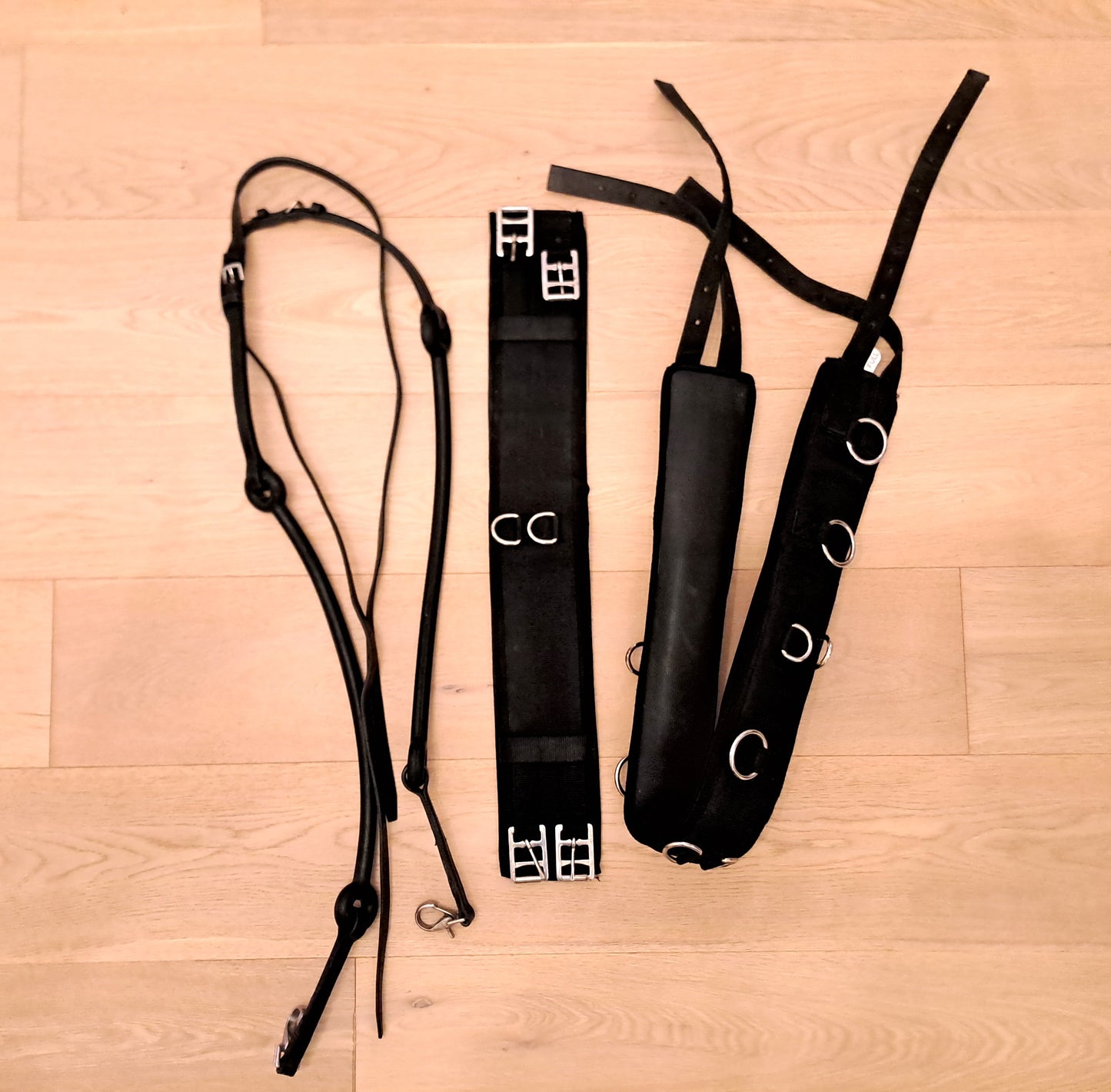 Zwarte vaste singel en teugels