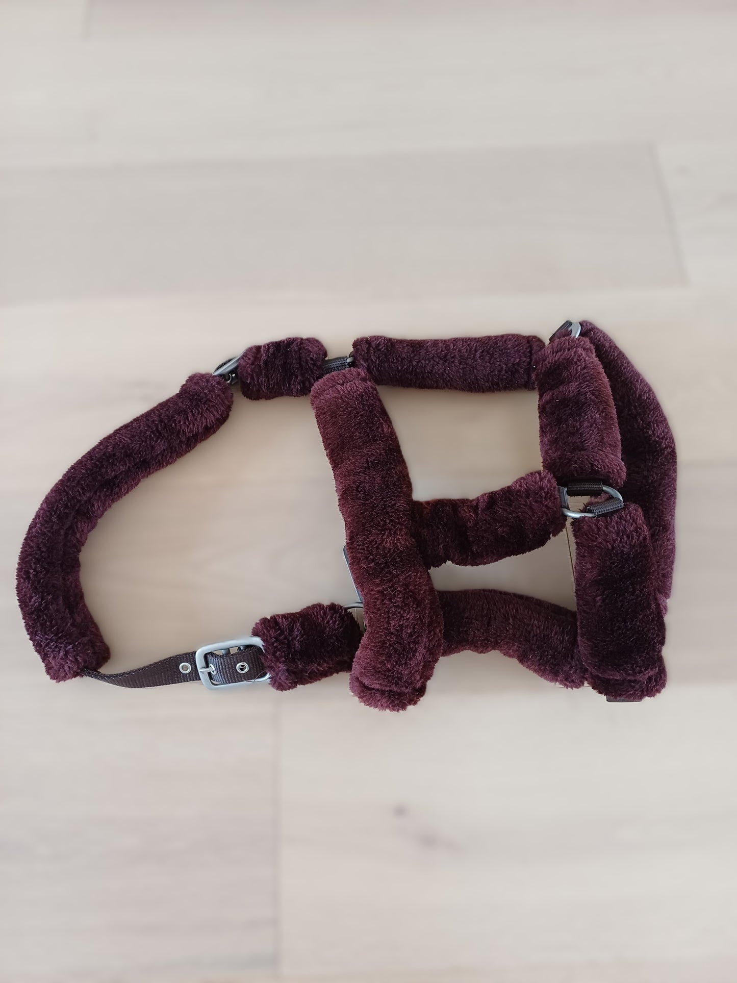 Licol JMR Moumoute Brun Taille Full – Neuf
