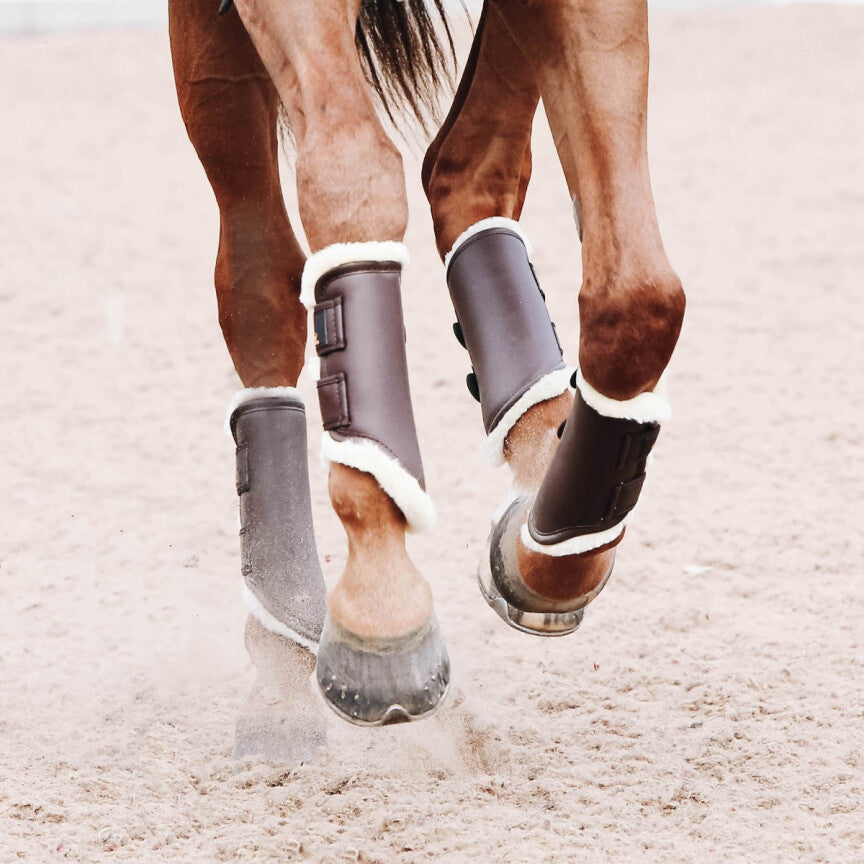 Guêtres Horse Attitude