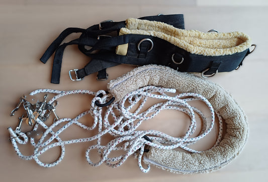 Pessoa Teugel – Compleet (goede staat)