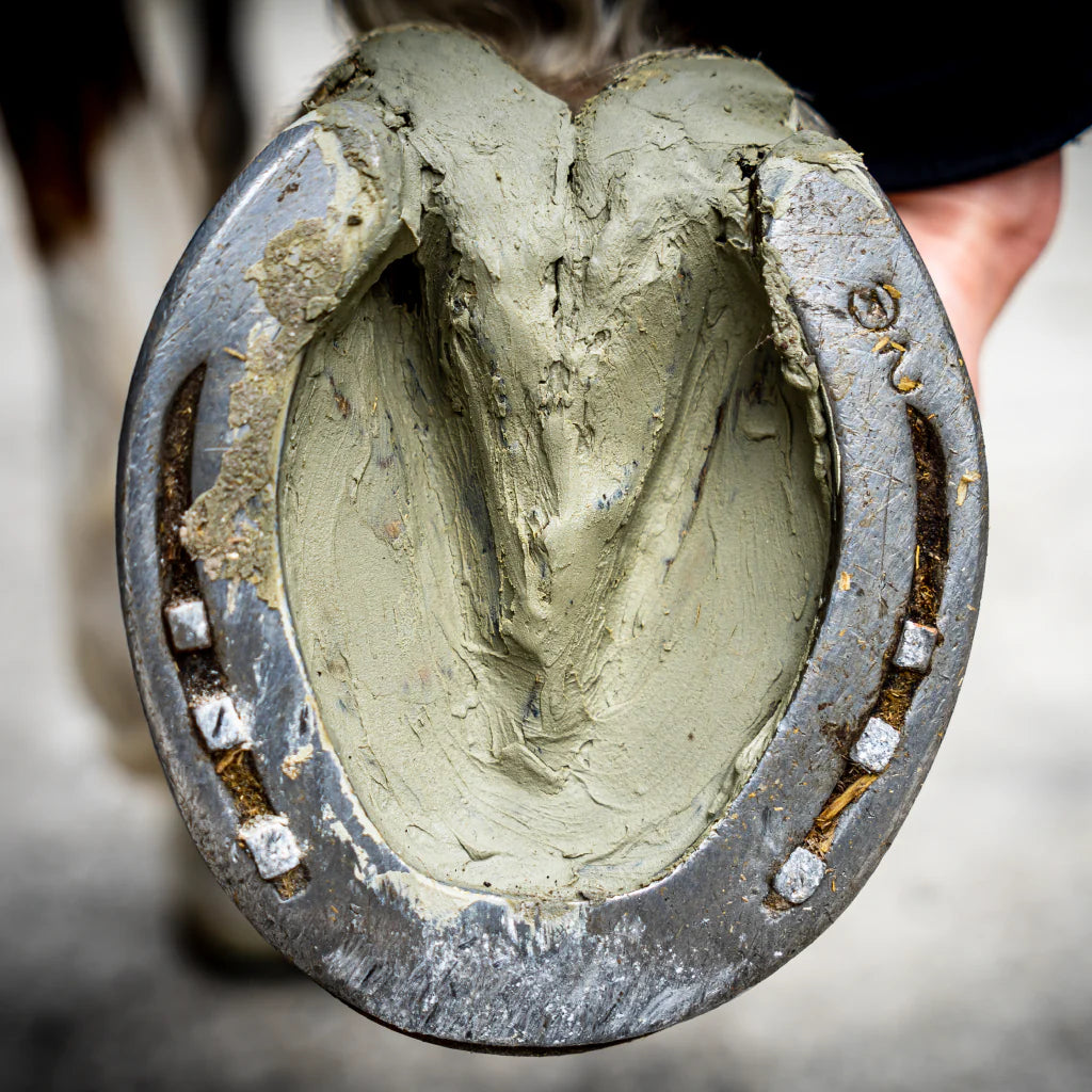 Argile Sabots Sensibles Cheval Cura Naturale – 1,75 kg (100% Naturelle, Prête à l'Emploi)