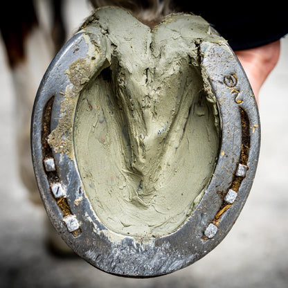 Argile Sabots Sensibles Cheval Cura Naturale – 1,75 kg (100% Naturelle, Prête à l'Emploi)