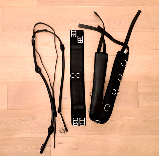 Zwarte vaste singel en teugels