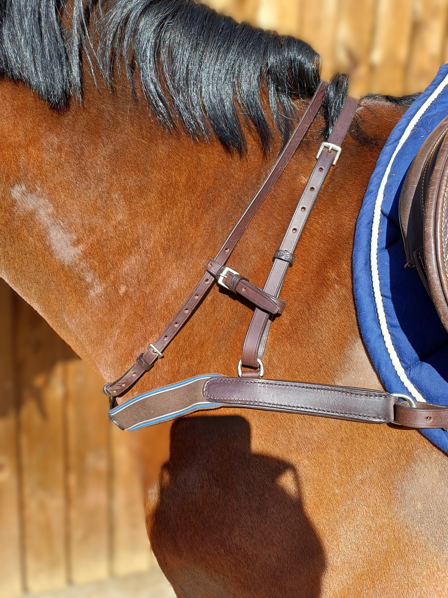 Jachthalsband (kruis) stuben