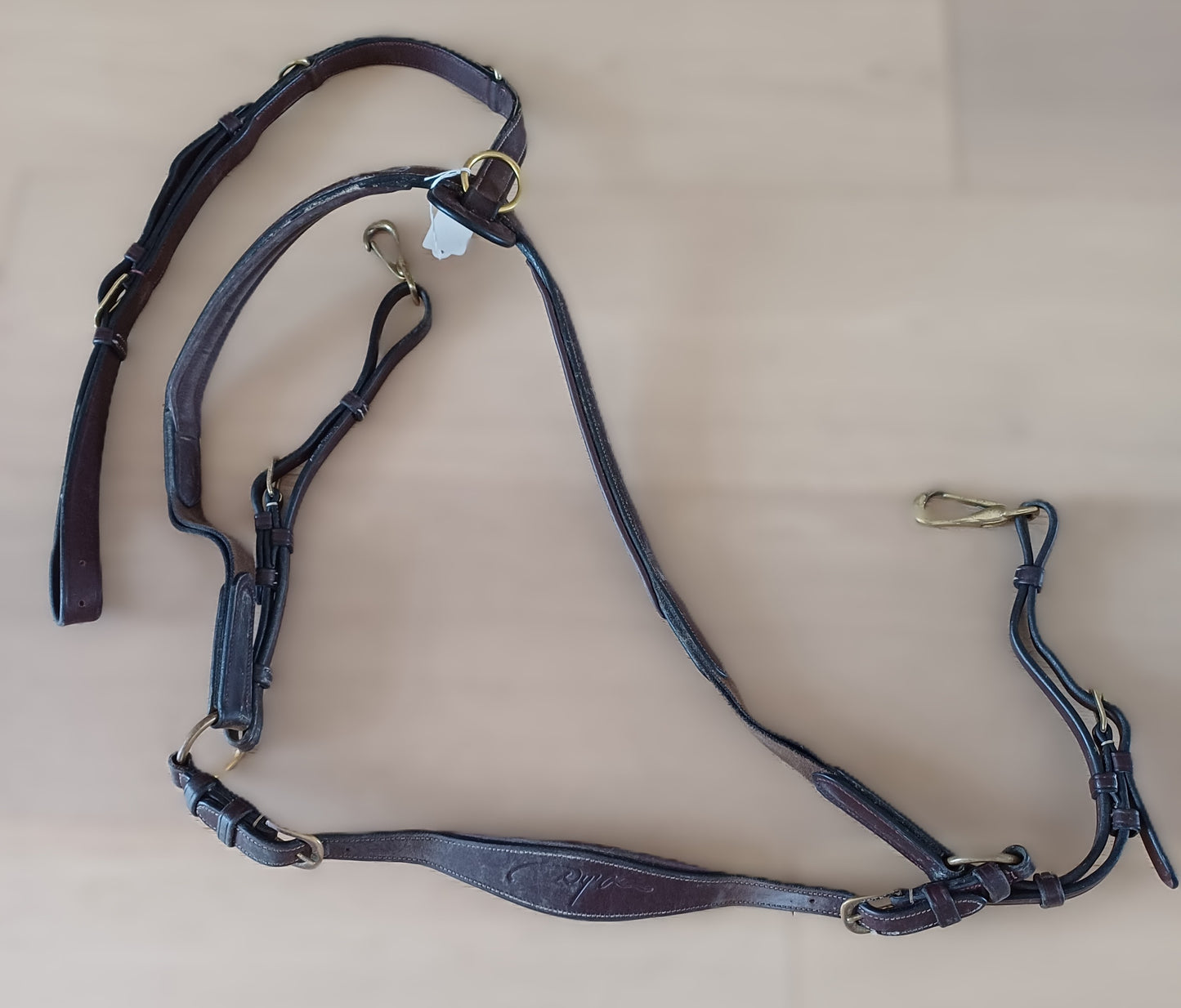 Dyon Volledige Jachthalsband