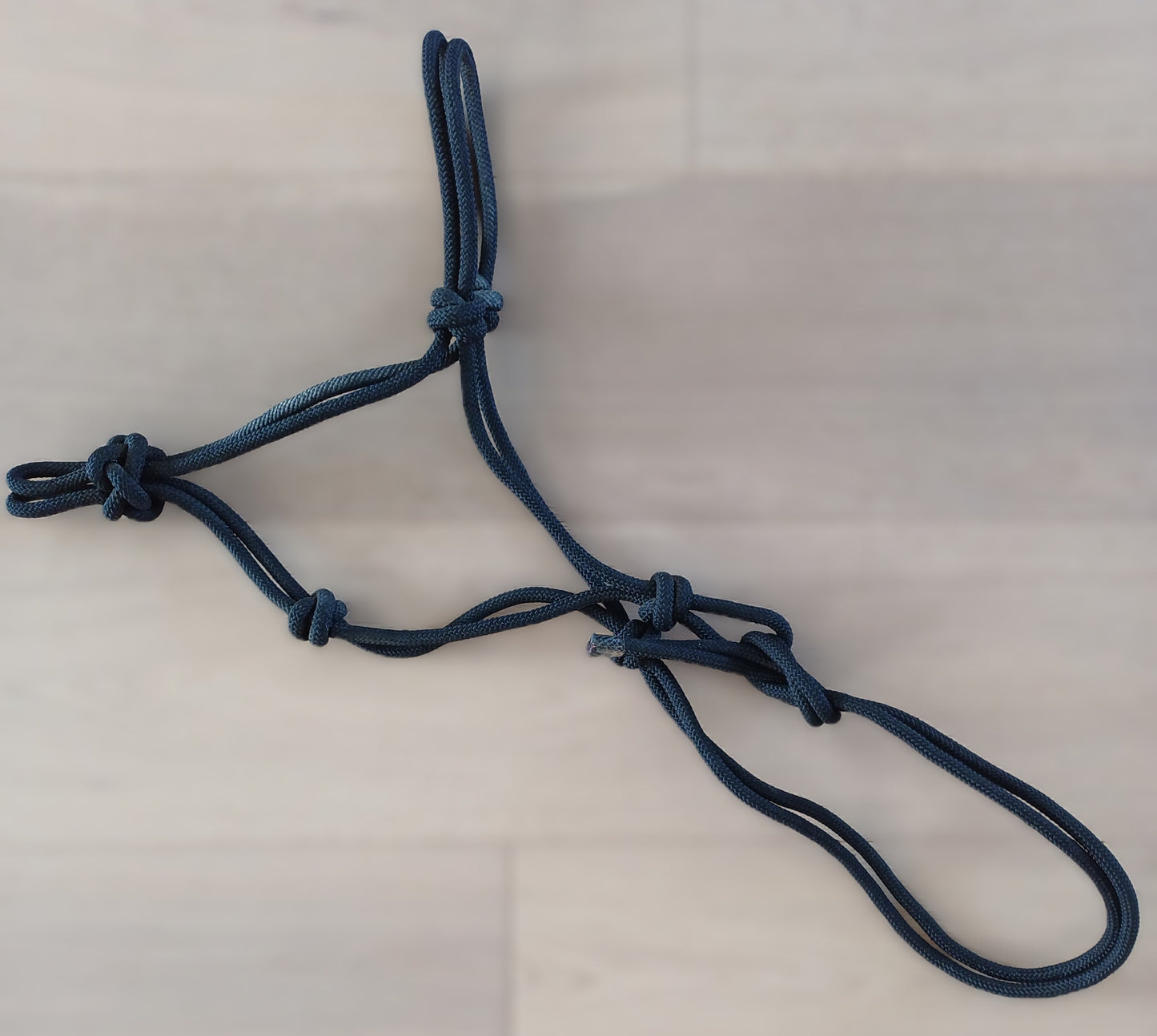 Volledig zwarte ethologische halster