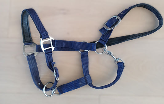 Marineblauwe ponyhalster