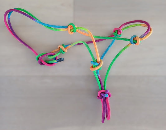 Volledige ethologische halster