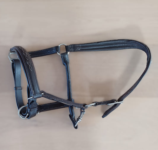 Licol en cuir – Taille Cob (Très bon état)