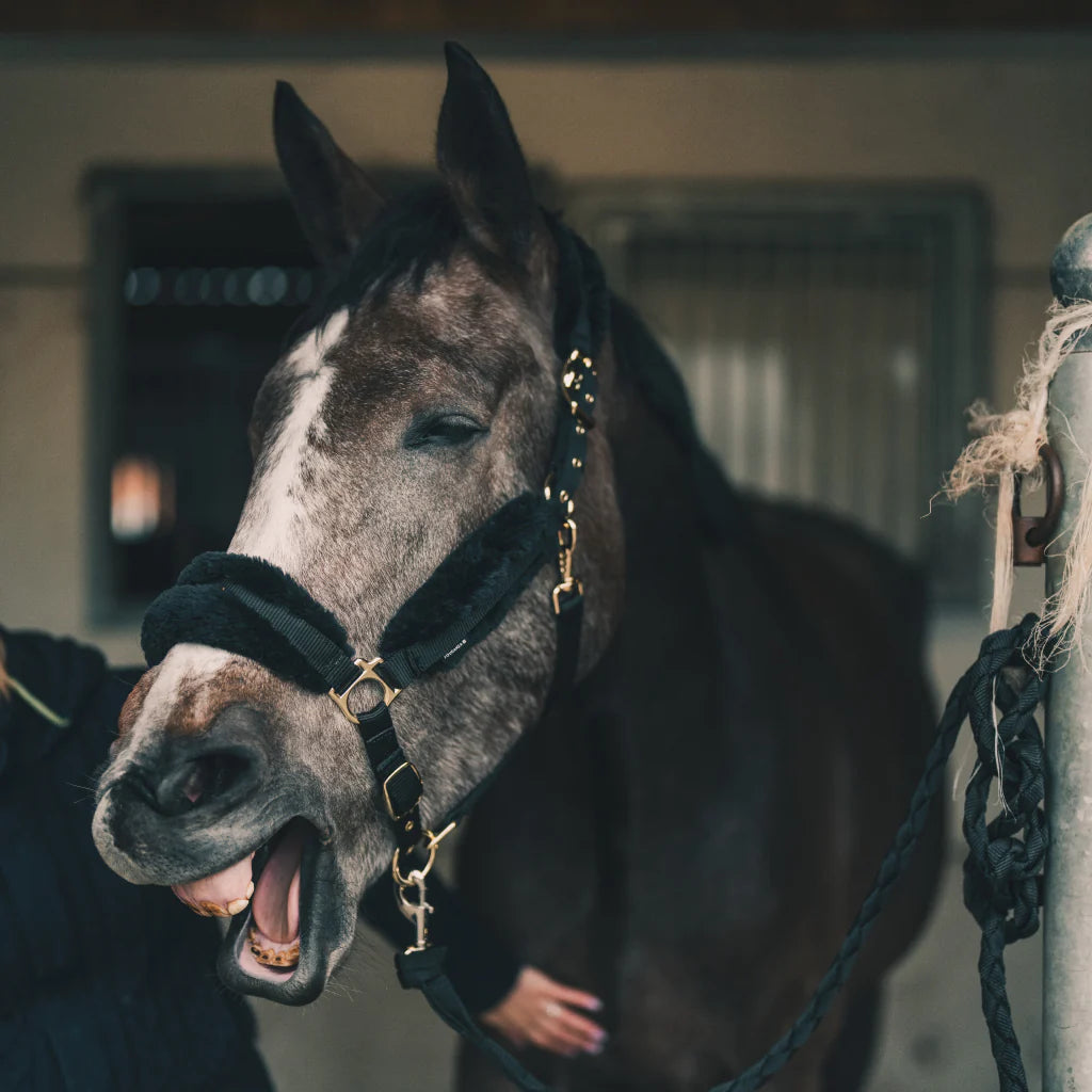 Huile Confort Musculaire Cura Naturale – 100 % Naturelle (125 ml)