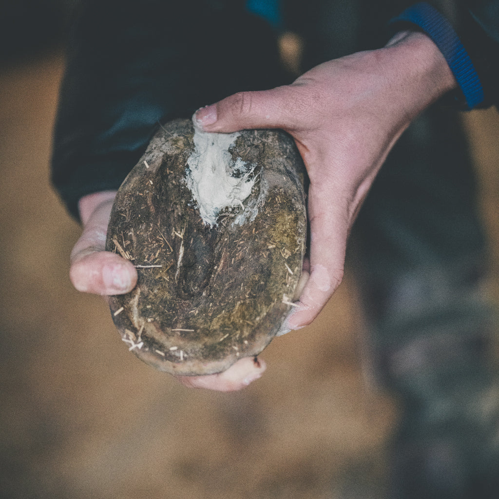 Argile 100% naturelle pour application externe - Fourchettes abîmées