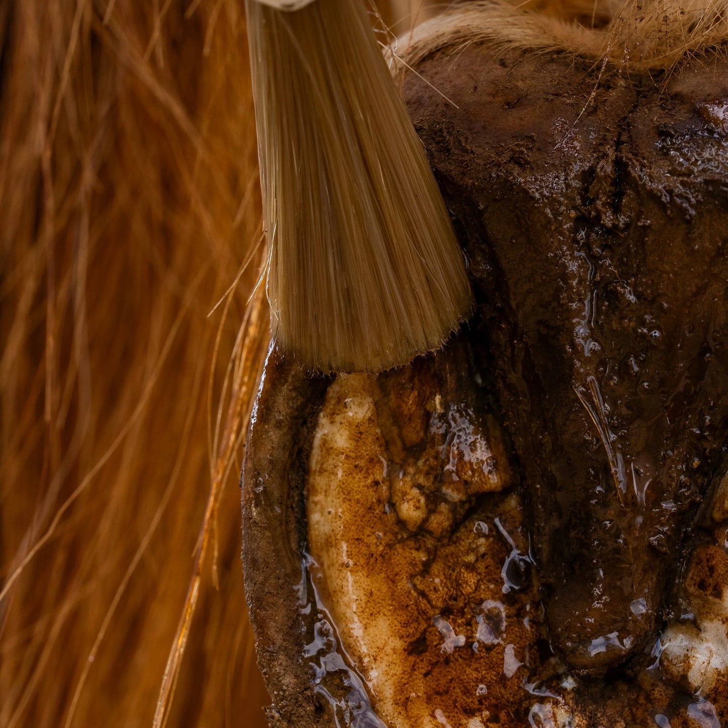 Huile Sabots Sensibles Cura Naturale – 500 ml