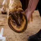 Huile Sabots Sensibles Cura Naturale – 500 ml