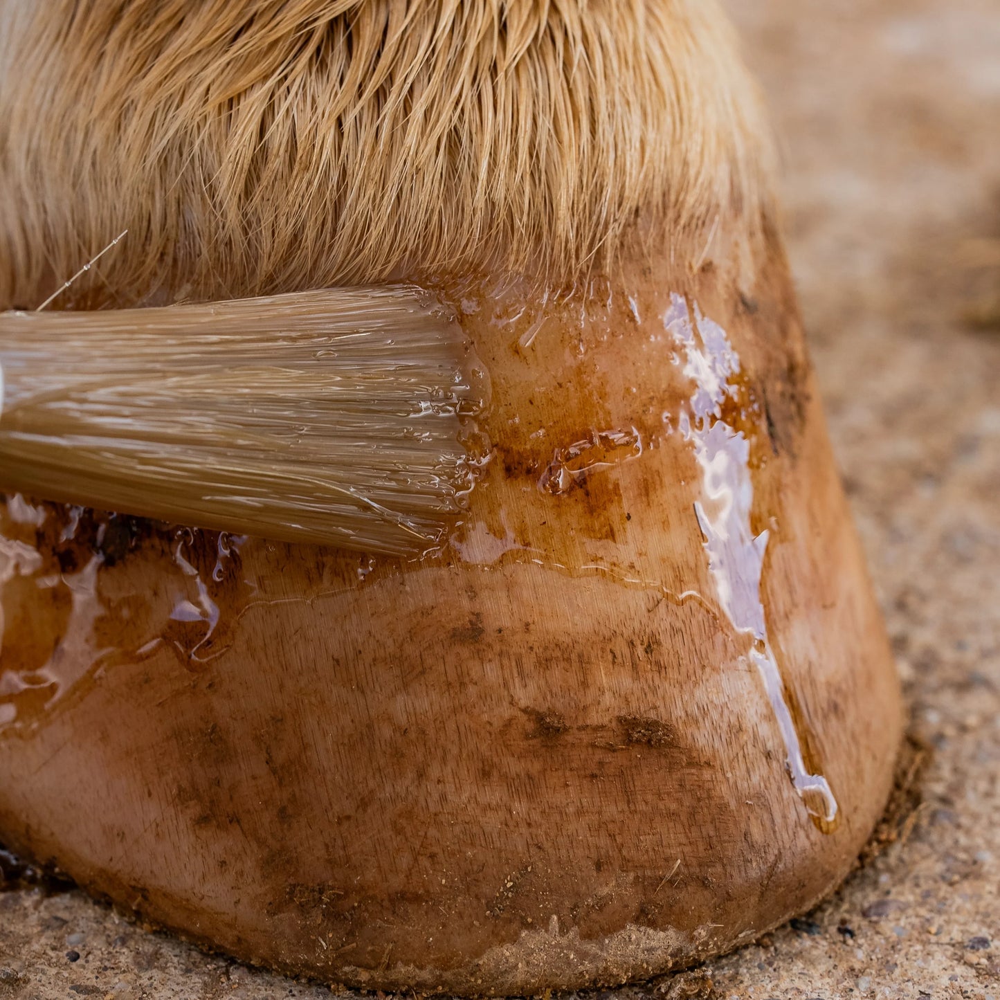 Huile Sabots Sensibles Cura Naturale – 500 ml